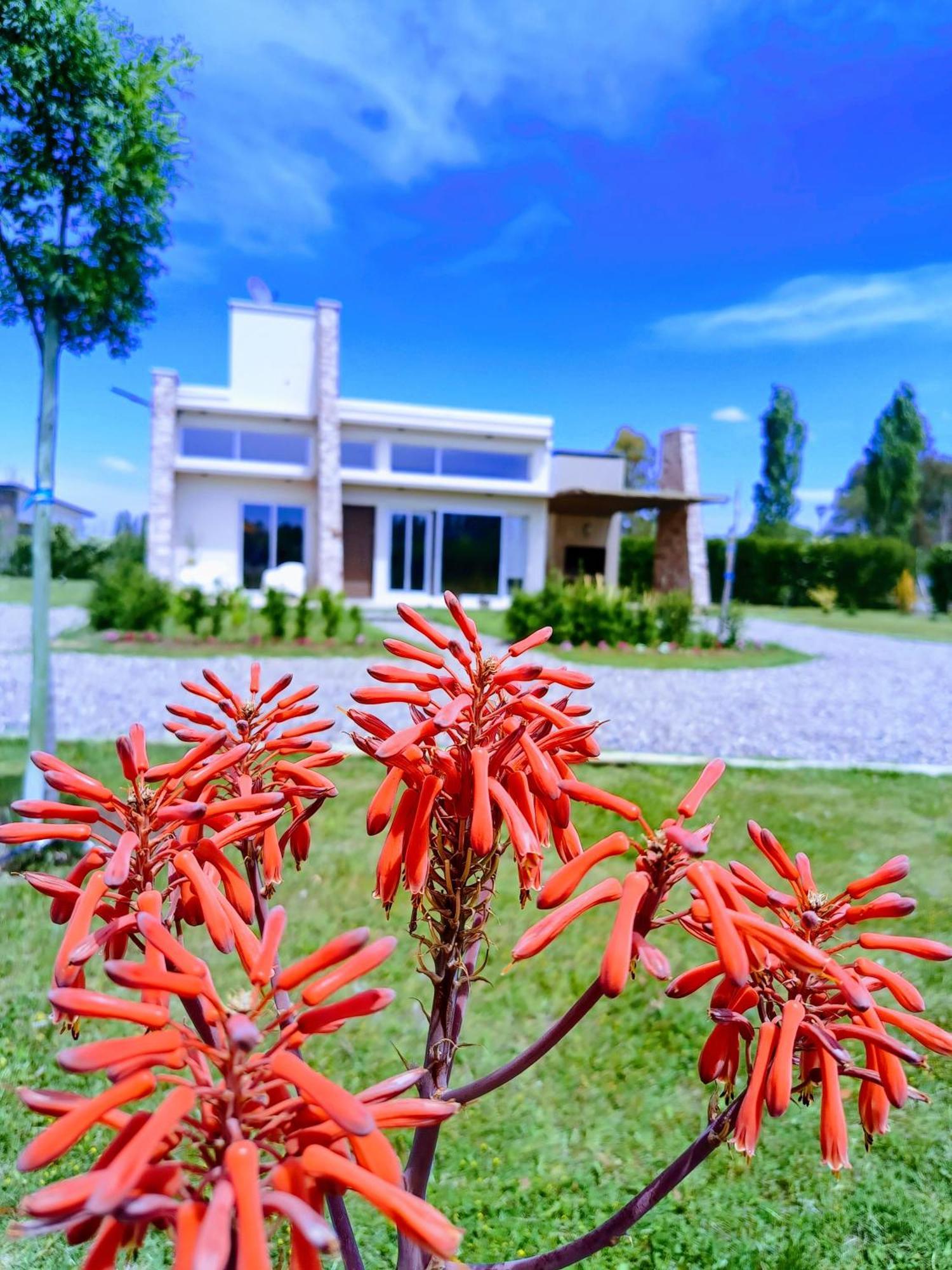De Alma Tinta - Petit Chalet San Rafael  Zewnętrze zdjęcie